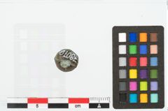 Foto von Bronzeniet (NHMW-PRAE-078070)